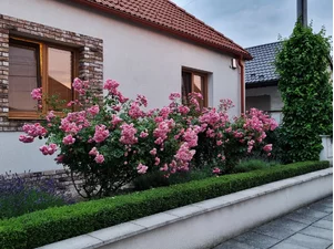 Moderner Landgarten